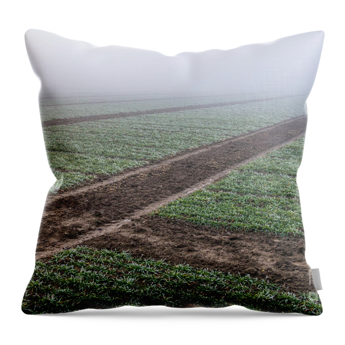Austria Throw Pillow featuring the photograph Geometry In Agriculture by Hannes Cmarits