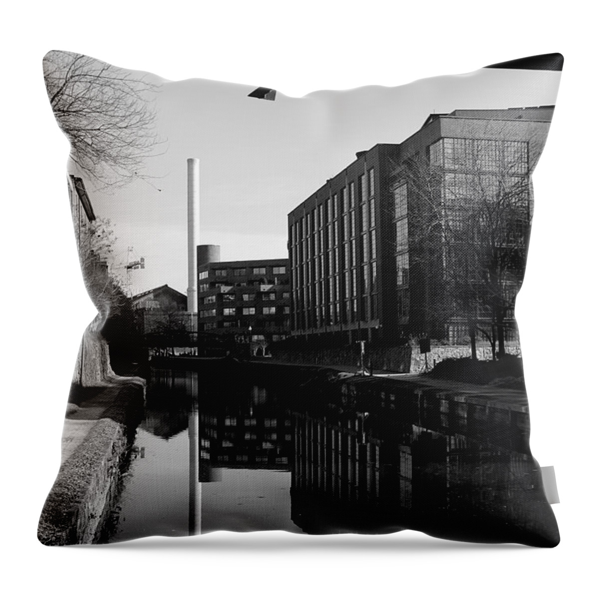 Georgetown Throw Pillow featuring the photograph Georgetown - Canal Reflections 2 by Richard Reeve