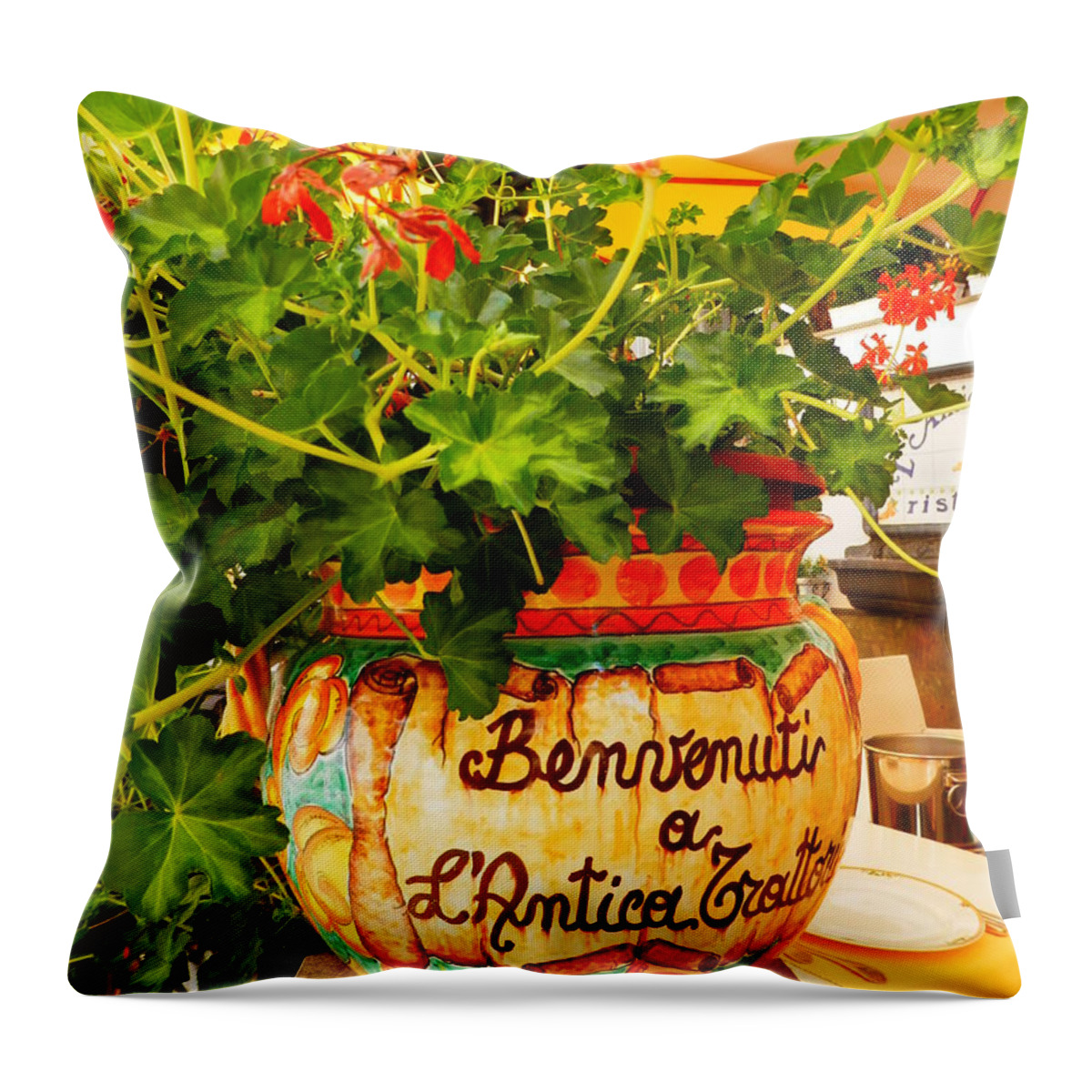 Geranium Throw Pillow featuring the photograph Geranium Planter by Pema Hou