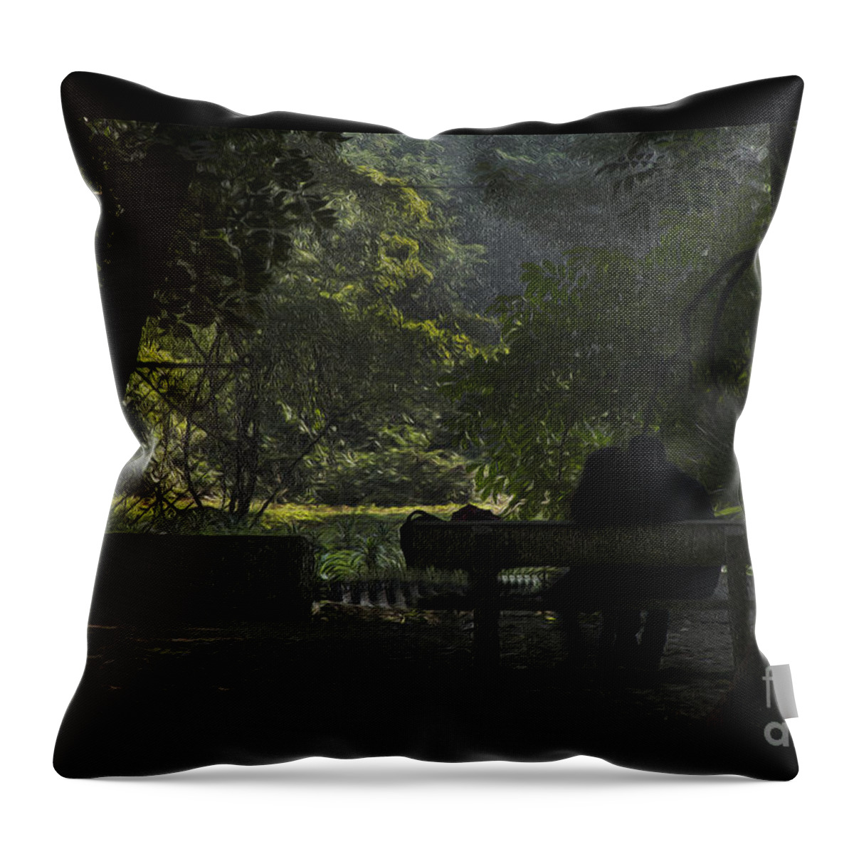 Lovers Throw Pillow featuring the photograph Romantic moments by Kiran Joshi