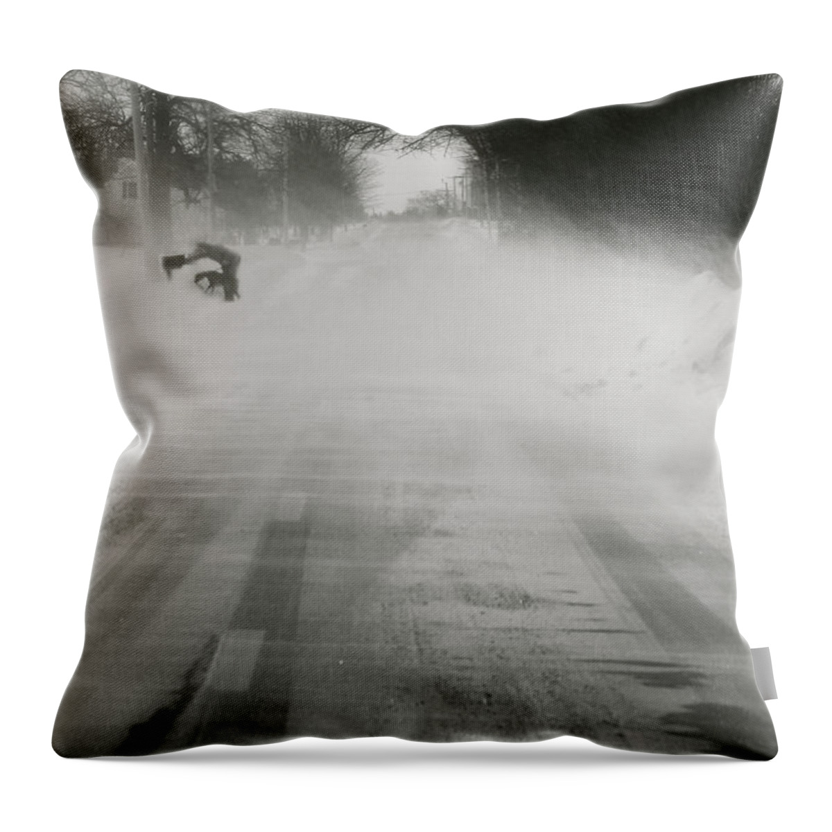 Winter Throw Pillow featuring the photograph Getting Mail by John Meader