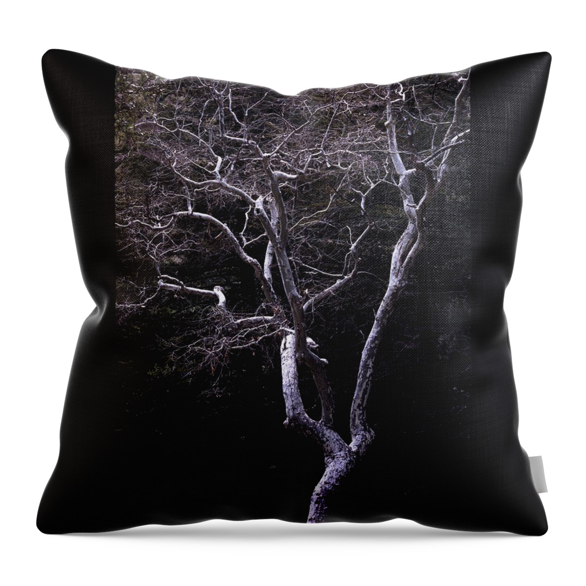 Landscape Throw Pillow featuring the photograph Ghost Tree by Kae Cheatham