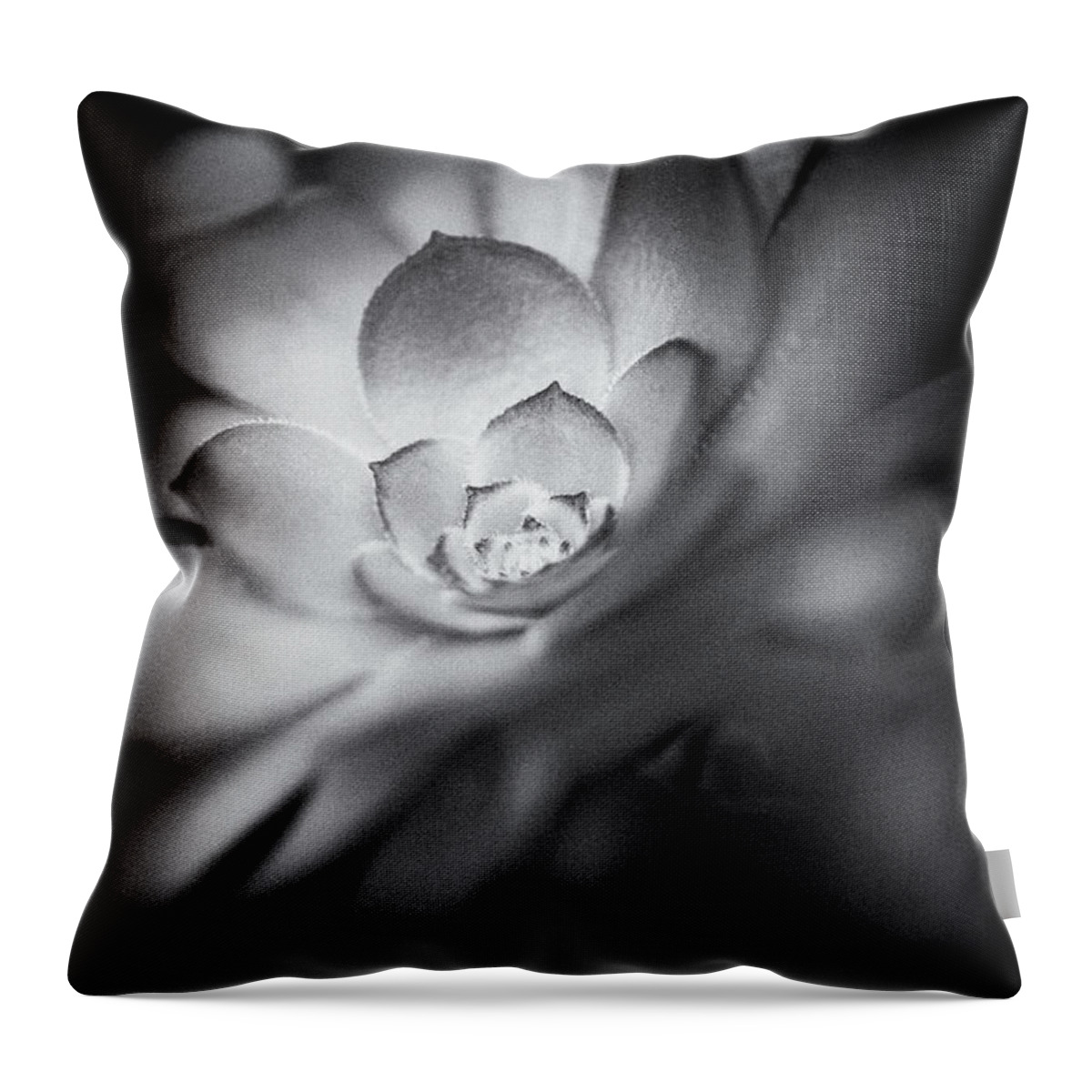 Botanical Throw Pillow featuring the photograph Ghostly Shadows by Venetta Archer