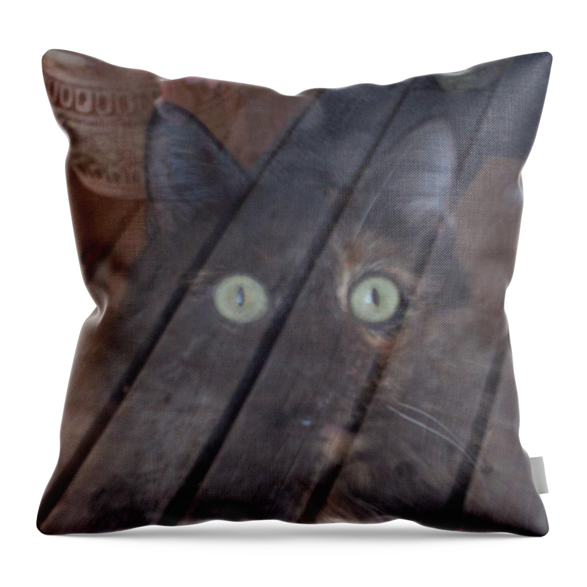 Cat Throw Pillow featuring the photograph Ghostly by Susan Turner Soulis