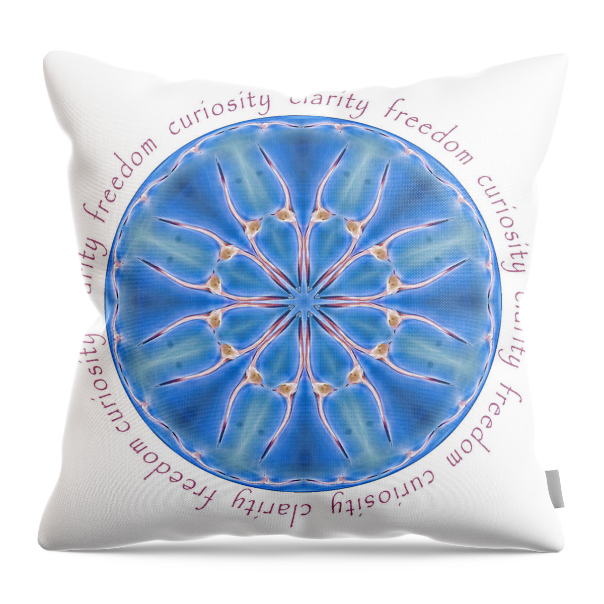 Seagull Throw Pillow featuring the photograph Gifts of the Seagull Mandala by Beth Venner
