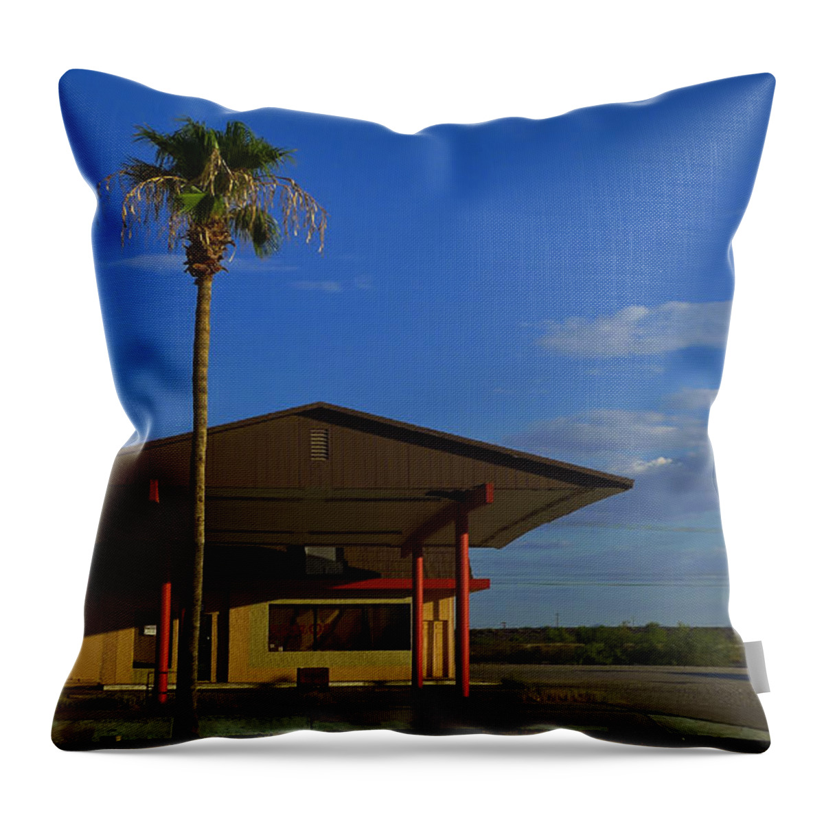 Gila 520208 Throw Pillow featuring the photograph Gila 520208 by Skip Hunt