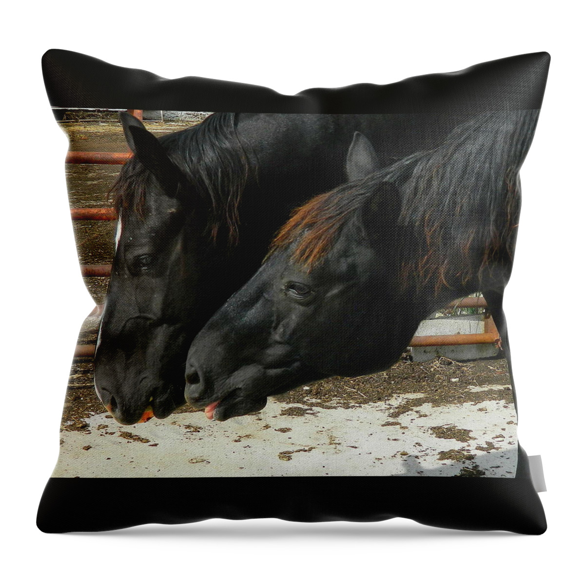 Horse Throw Pillow featuring the photograph Gimme that Apple by Kathy Barney