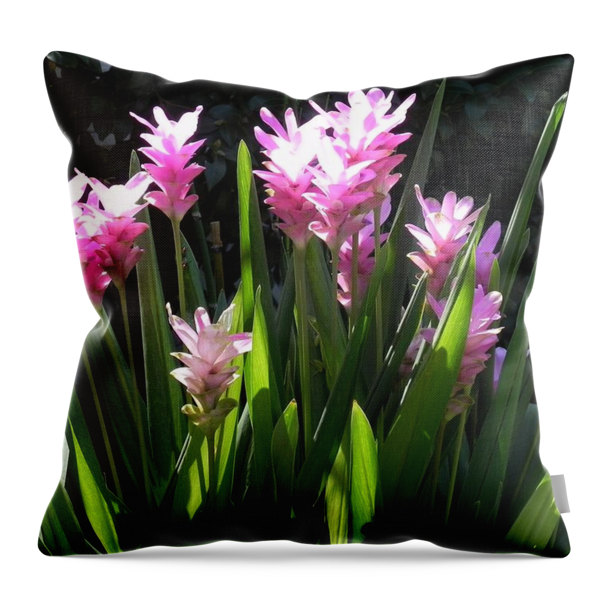 Goner In Bloom Throw Pillow featuring the photograph Ginger Is A Complete Surprise In Bloom by Patricia Greer