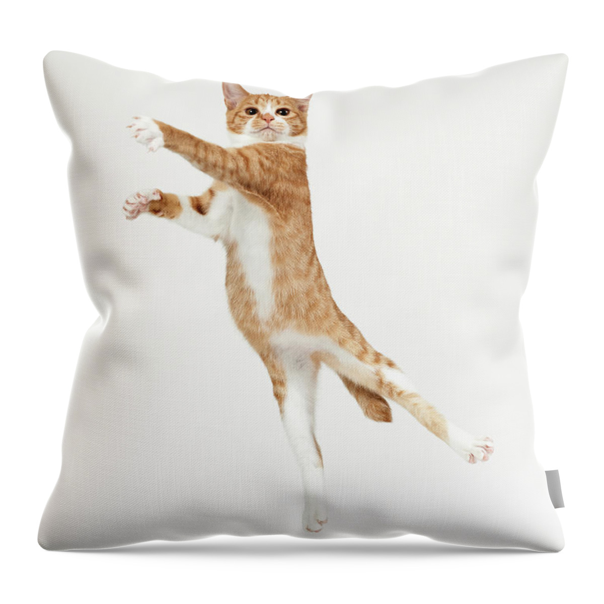 Pets Throw Pillow featuring the photograph Ginger Kitten Jumping Like Dancer by Akimasa Harada