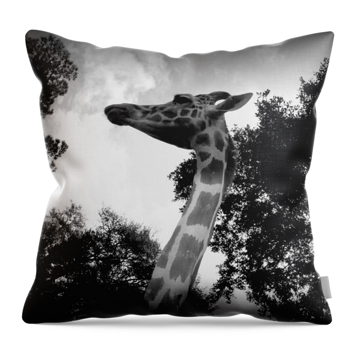 Giraffe Throw Pillow featuring the photograph Giraffe bw - Global Wildlife Center by Beth Vincent