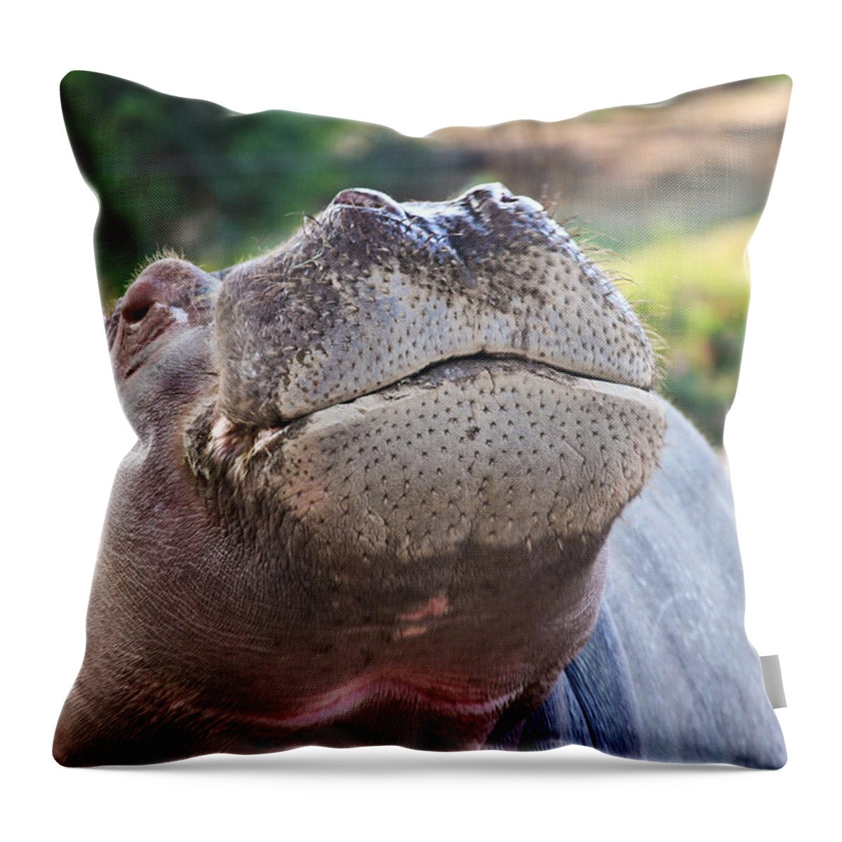 Hippo Throw Pillow featuring the photograph Give me a kiss hippo by Eti Reid