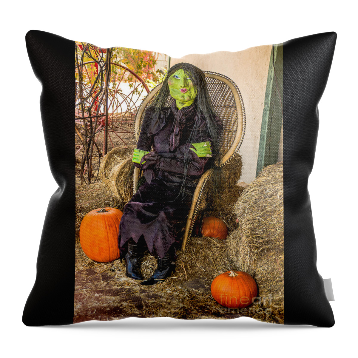 Halloween Throw Pillow featuring the photograph Give Me A Kiss by Sue Smith
