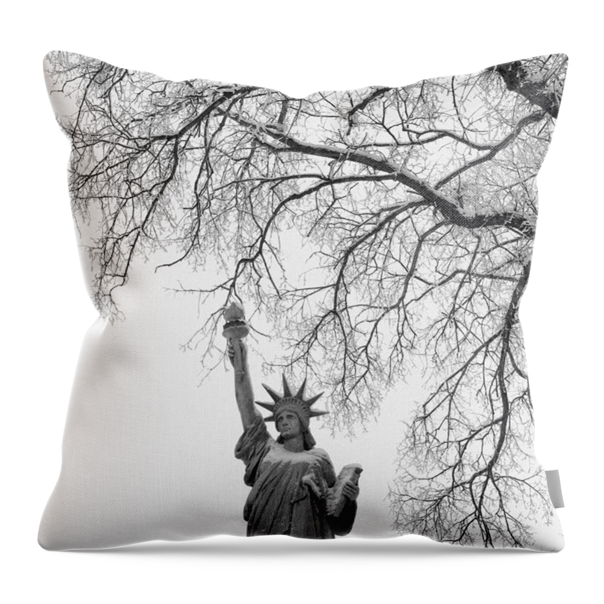 Liberty Throw Pillow featuring the photograph Give Me Liberty by Jamieson Brown