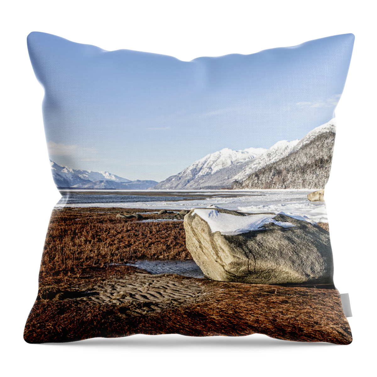 Alaska Throw Pillow featuring the photograph Glacial Erratic in Winter by Michele Cornelius