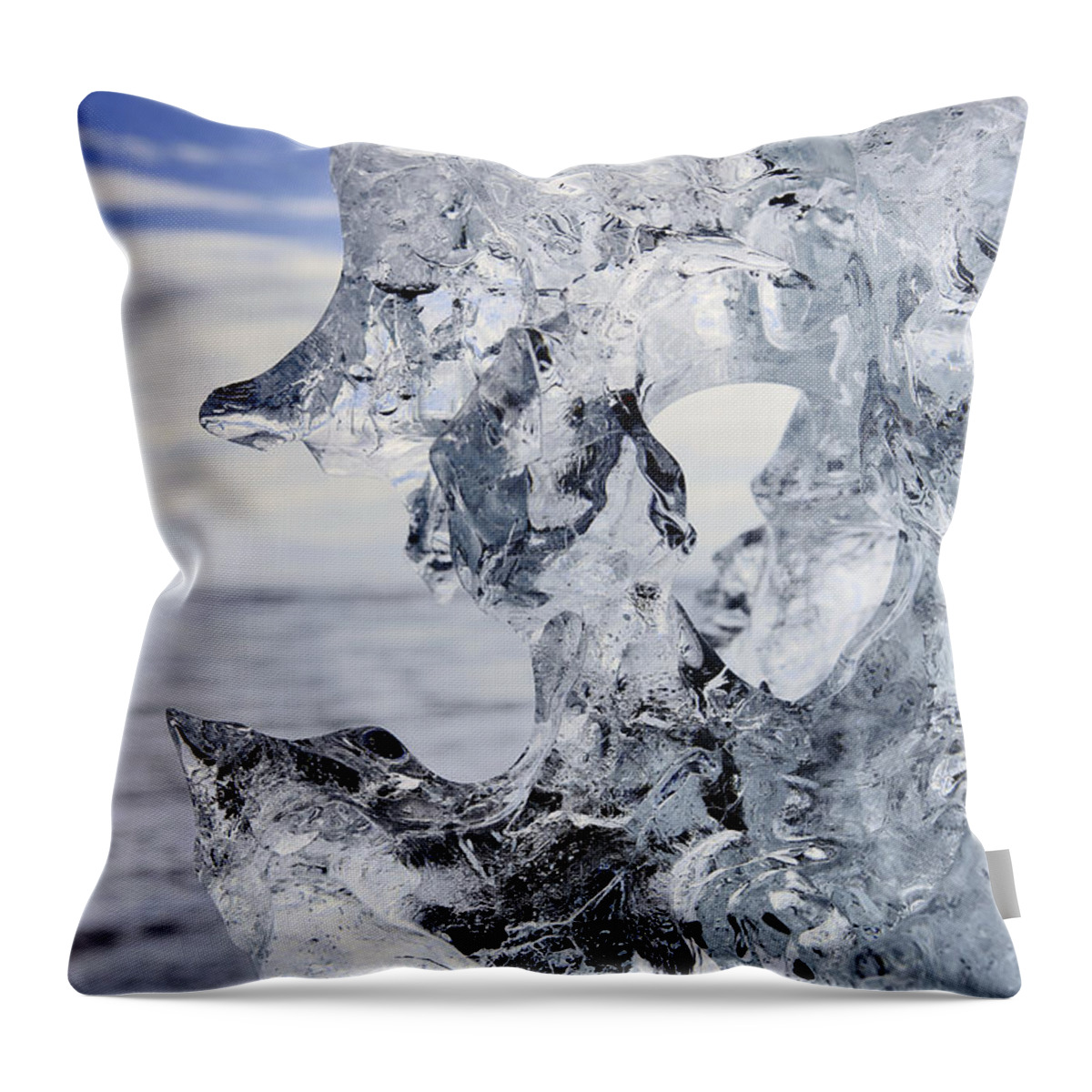 Beach Throw Pillow featuring the photograph Glacier Ice On Beach by E.r. Degginger