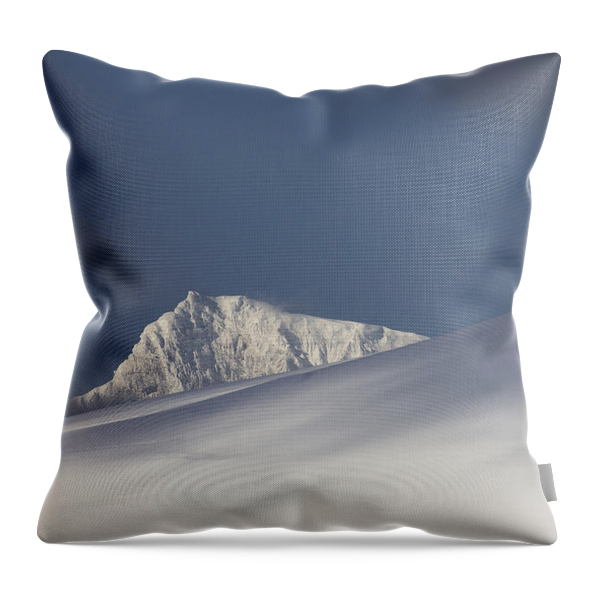 Feb0514 Throw Pillow featuring the photograph Glacier Ice On Melchior Islands by Matthias Breiter
