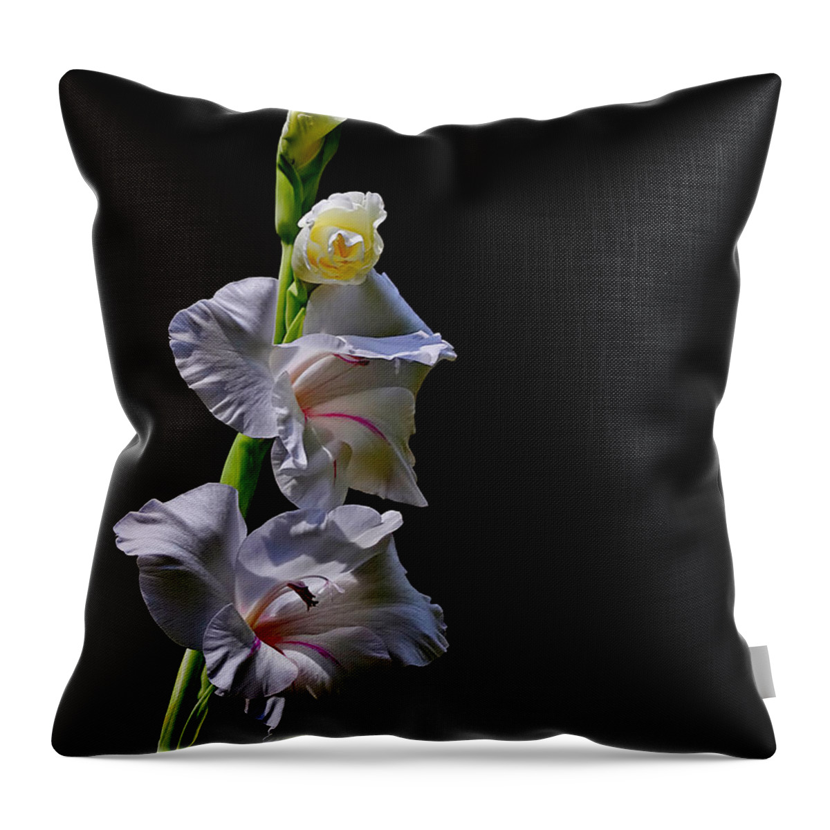 Flower Throw Pillow featuring the photograph Gladiola #1 by Farol Tomson