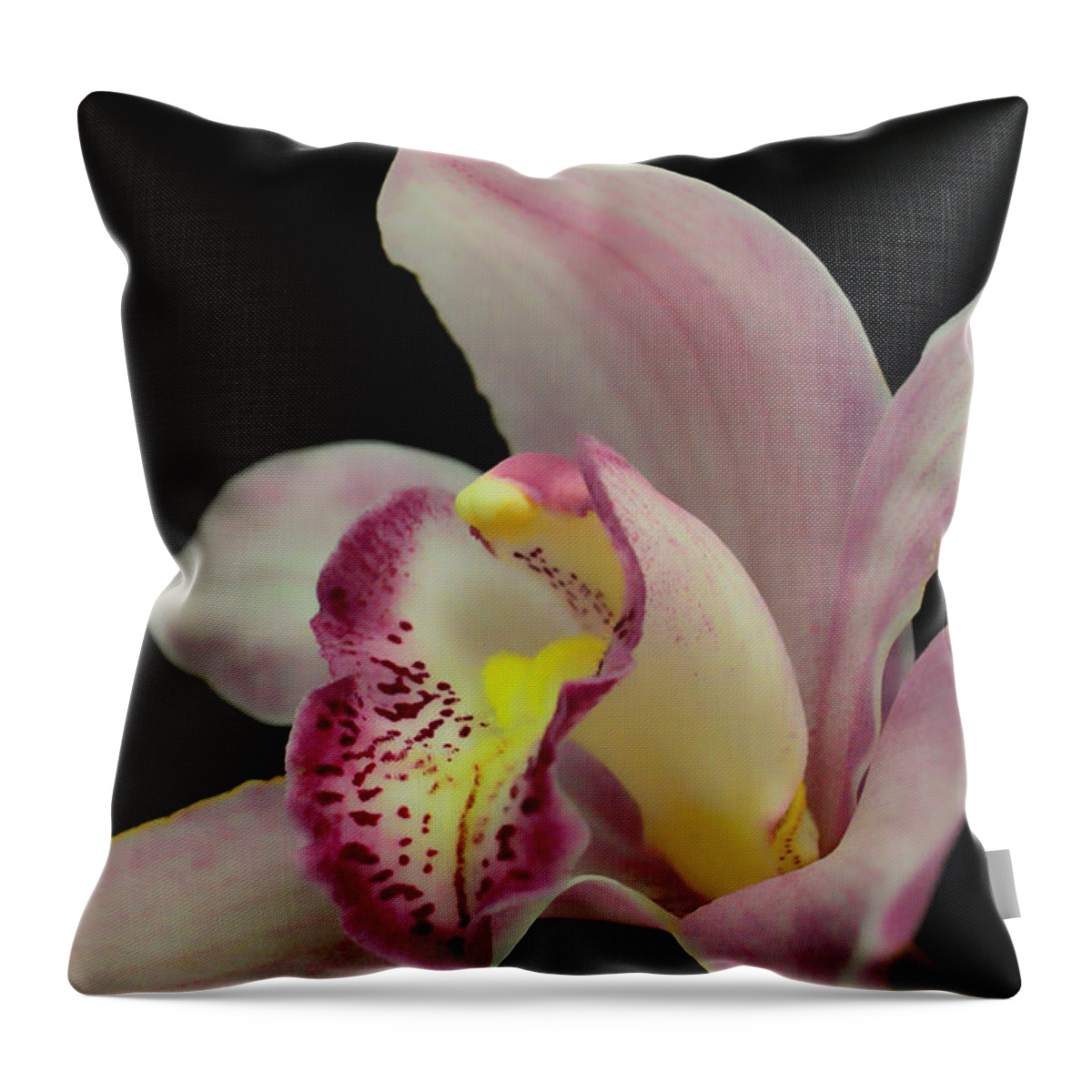 Orchid Throw Pillow featuring the photograph Glamour Pose by Donna Blackhall