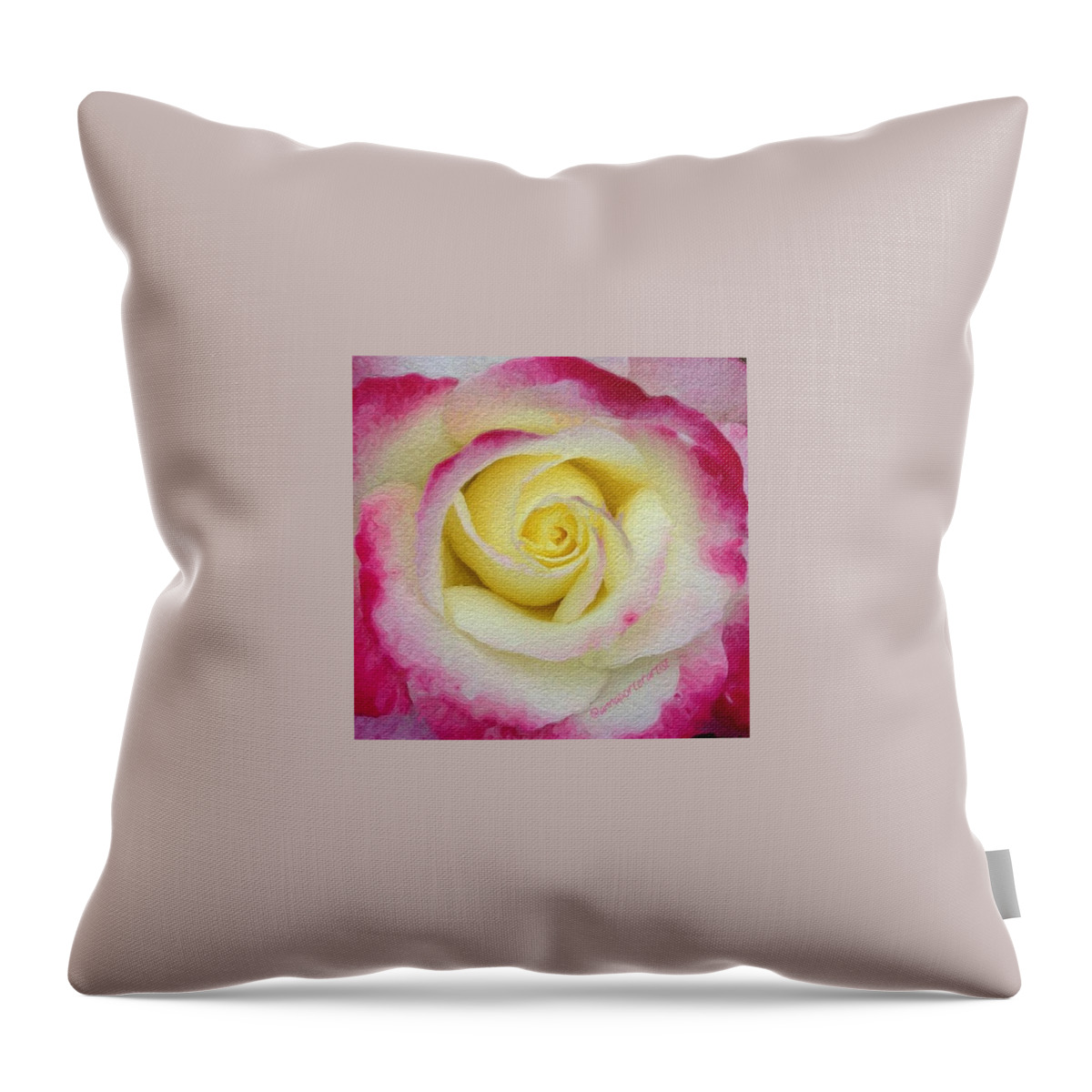 Roses Throw Pillow featuring the photograph Glazed Red-tipped Rose by Anna Porter