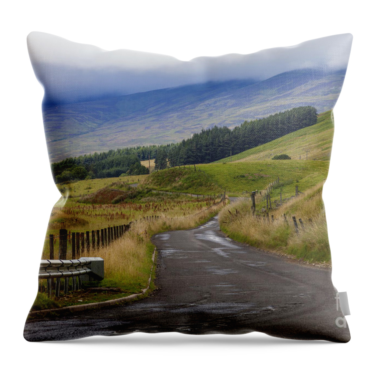 Gella Bridge Throw Pillow featuring the photograph Glen Clova In the Rain by Diane Macdonald