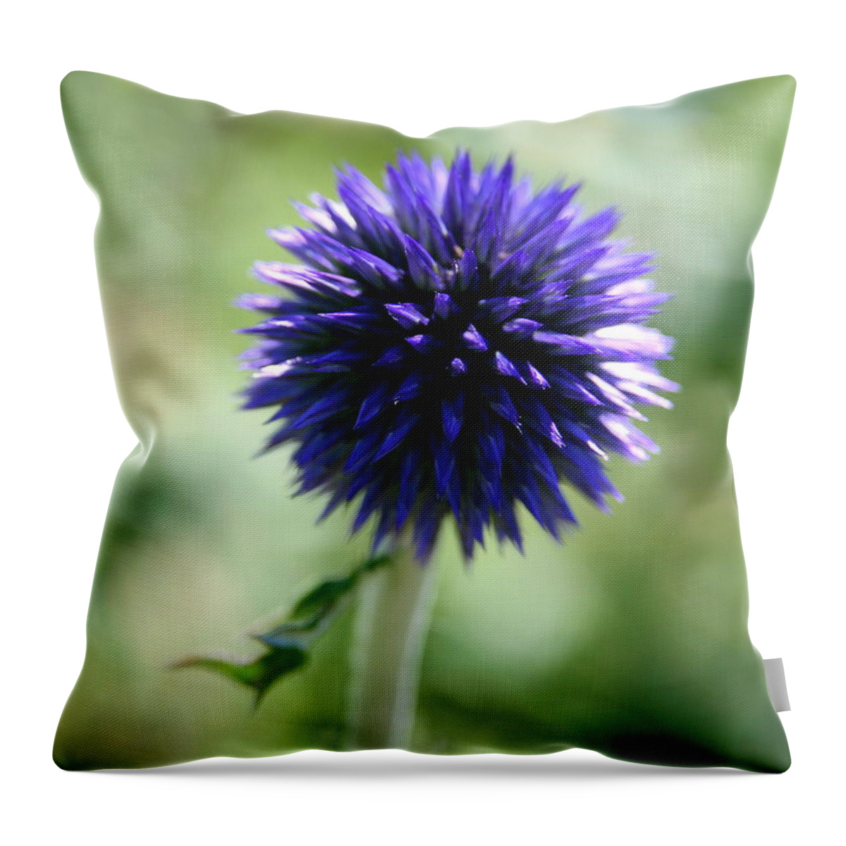 Globe Flower Throw Pillow featuring the photograph Globe Flower by Neal Eslinger