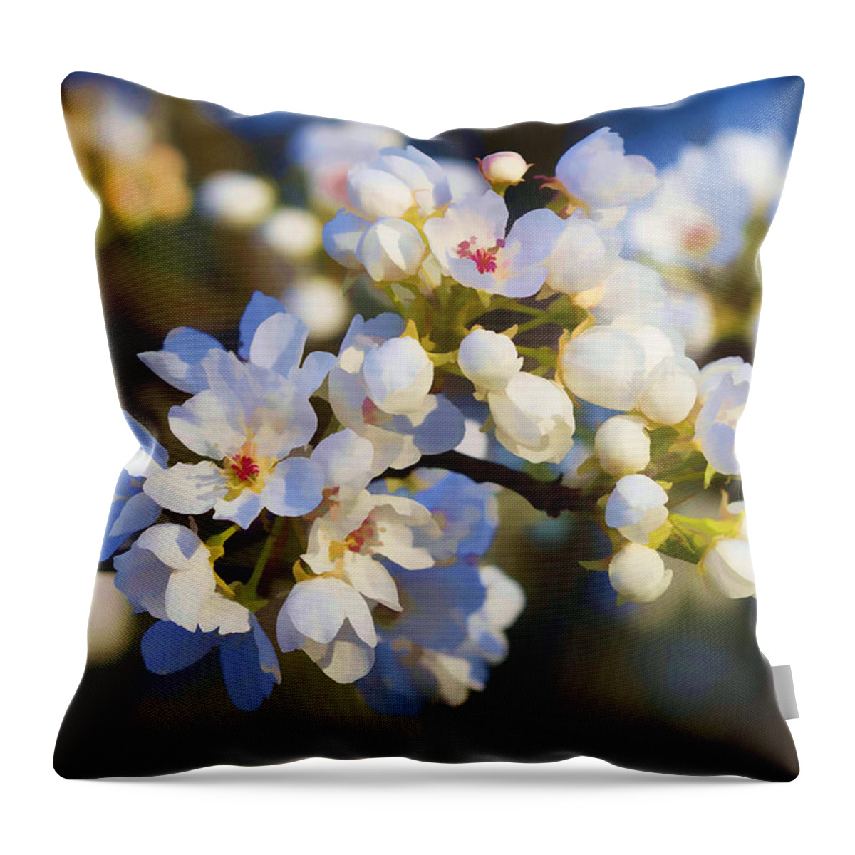 Bradford Throw Pillow featuring the photograph Glorious Light by Kathy Clark