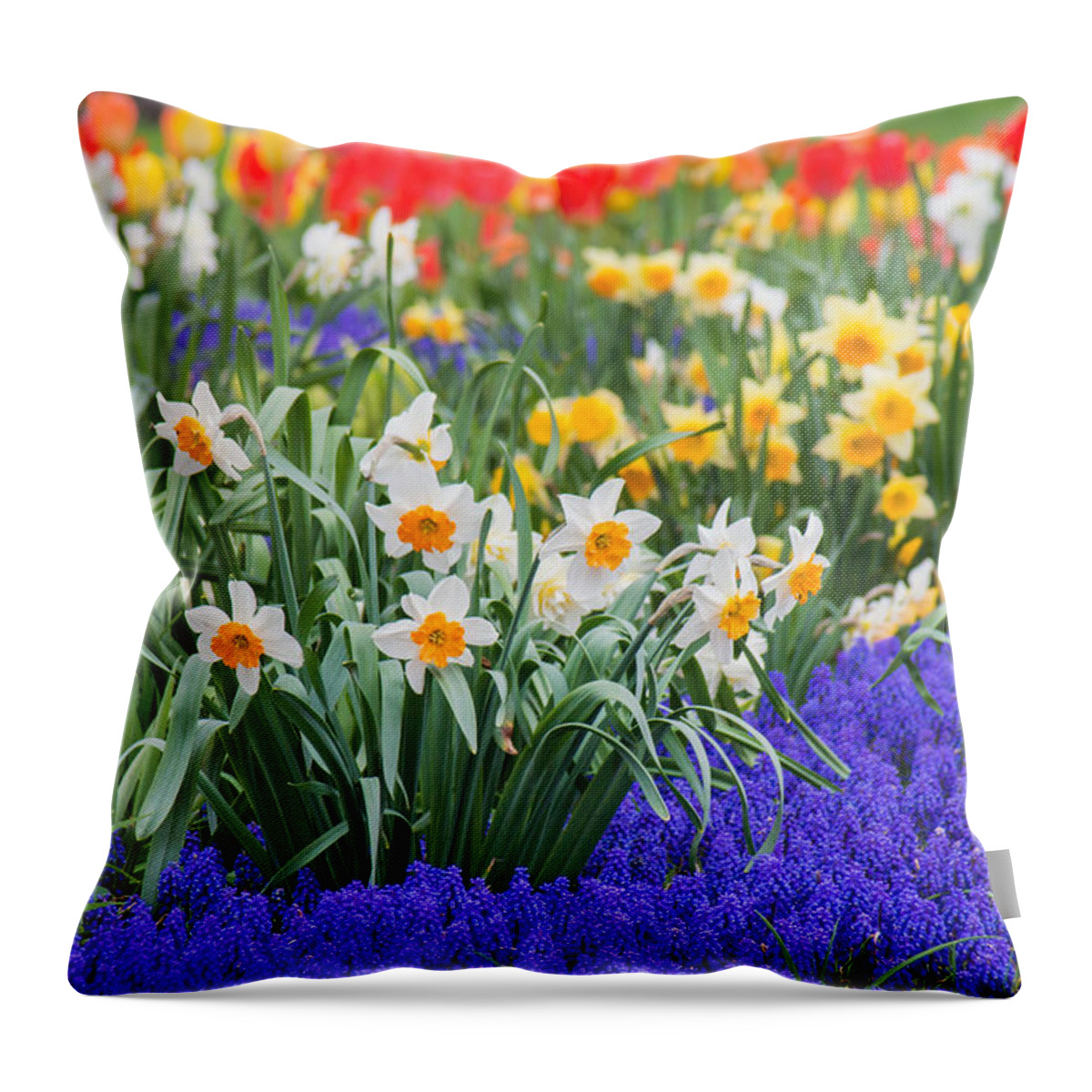 Blue Throw Pillow featuring the photograph Glorious Spring by Bill Pevlor