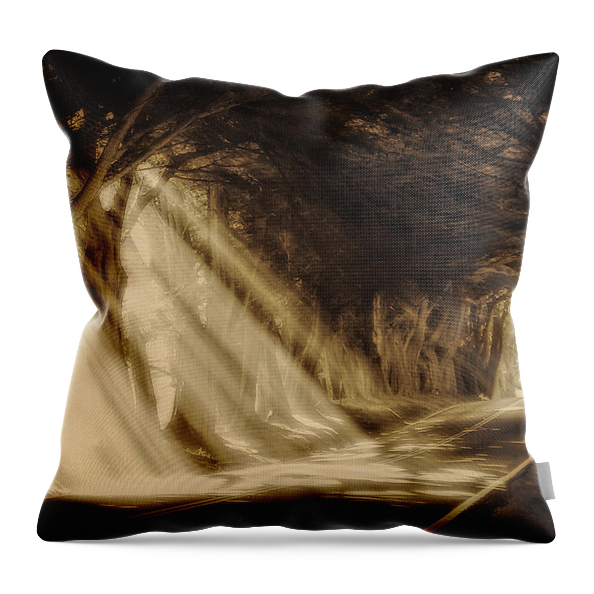 Sun Rays Throw Pillow featuring the photograph Glory Rays by Priscilla Burgers