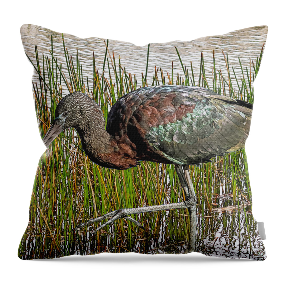 Ibis Throw Pillow featuring the digital art Glossy Ibis by Larry Linton
