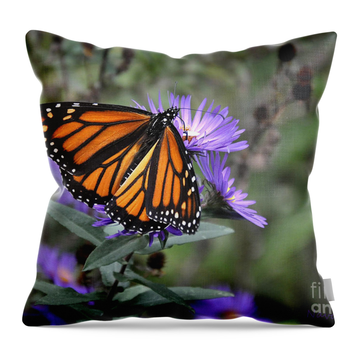 Nature Throw Pillow featuring the photograph Glowing Butterfly by Nava Thompson