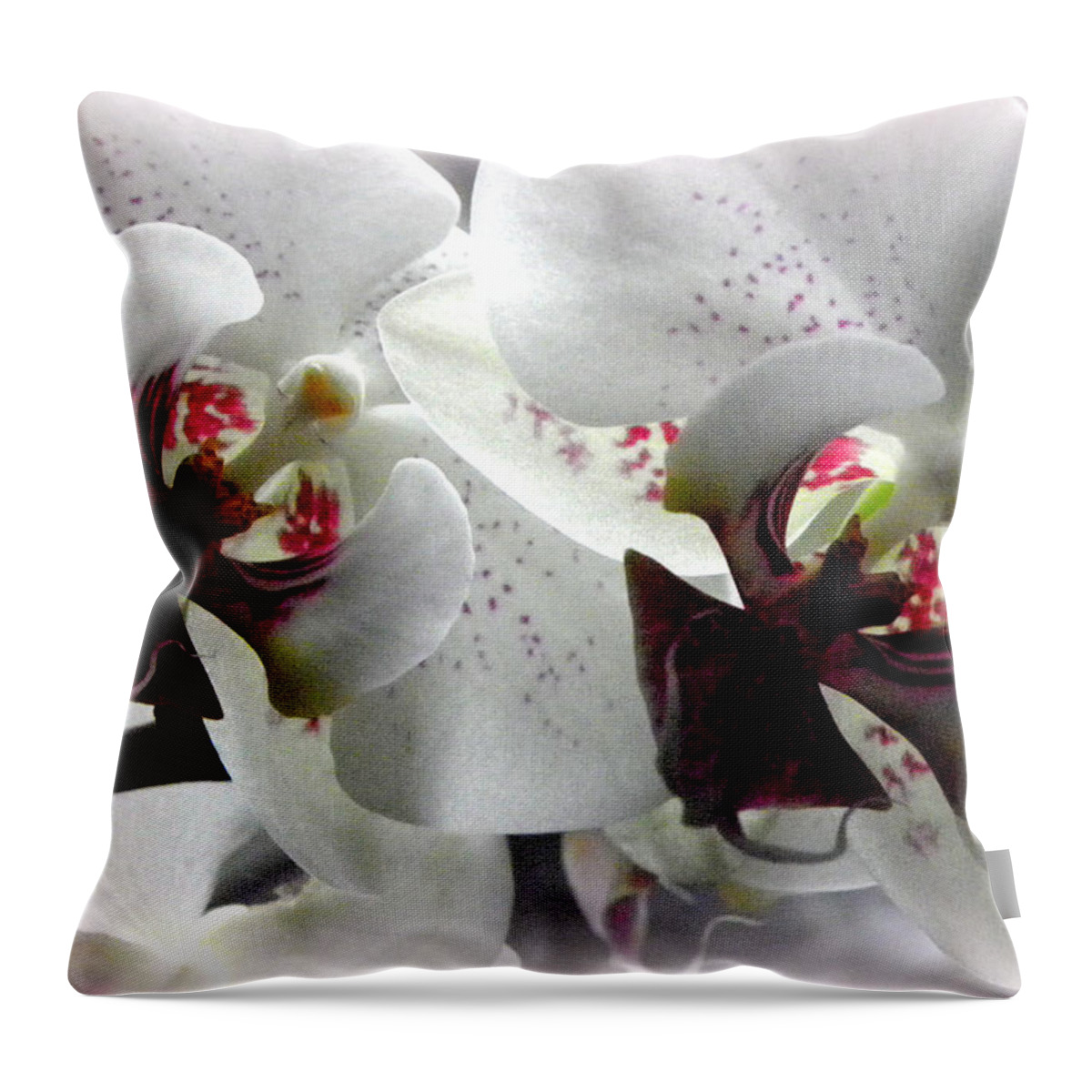 White Orchid Throw Pillow featuring the photograph Glowing White Orchids by Kim Galluzzo