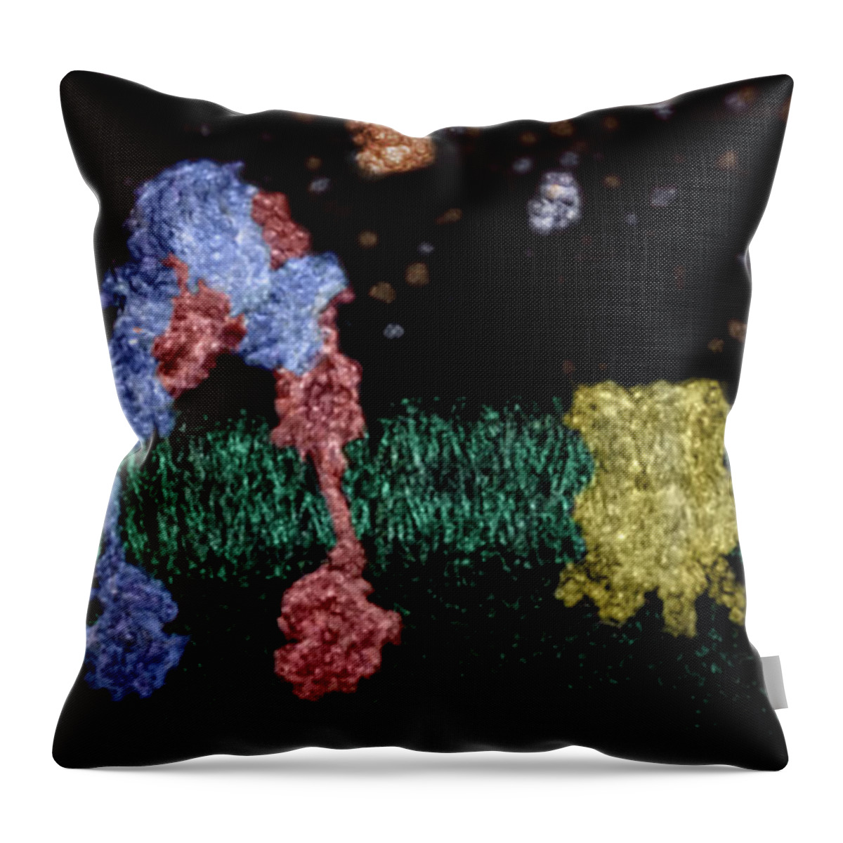 3d Model Throw Pillow featuring the photograph Glucose Transportation Into Cell, Part 1 by Anatomical Travelogue