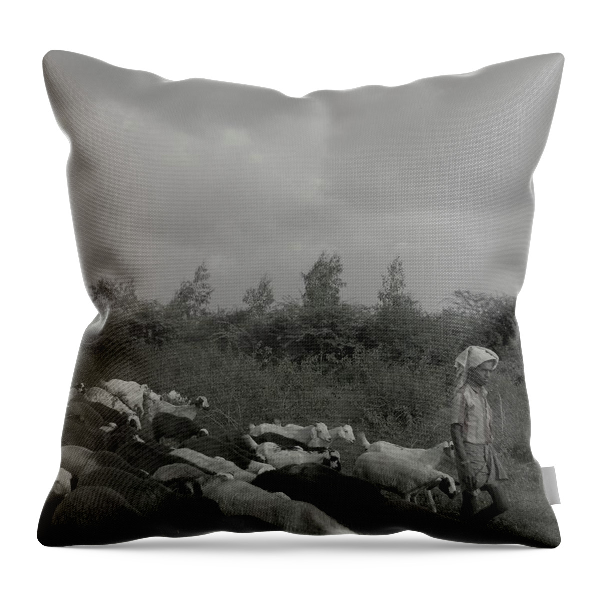 Goats Throw Pillow featuring the photograph Goatherd's Delight by Mini Arora