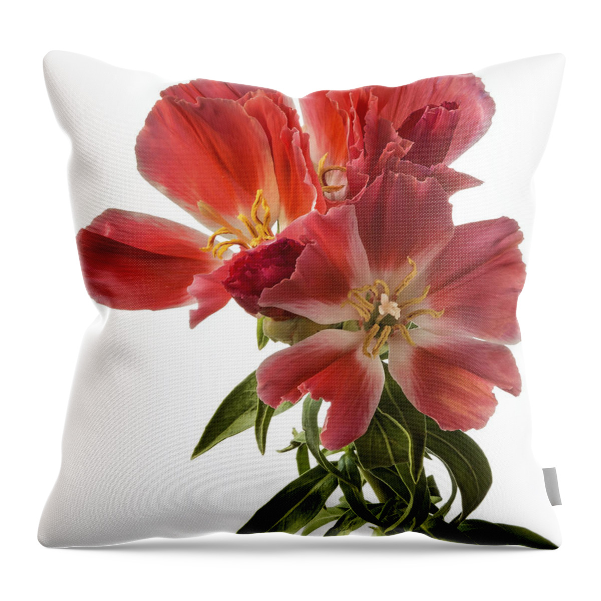 Flower Throw Pillow featuring the photograph Godacia by Endre Balogh