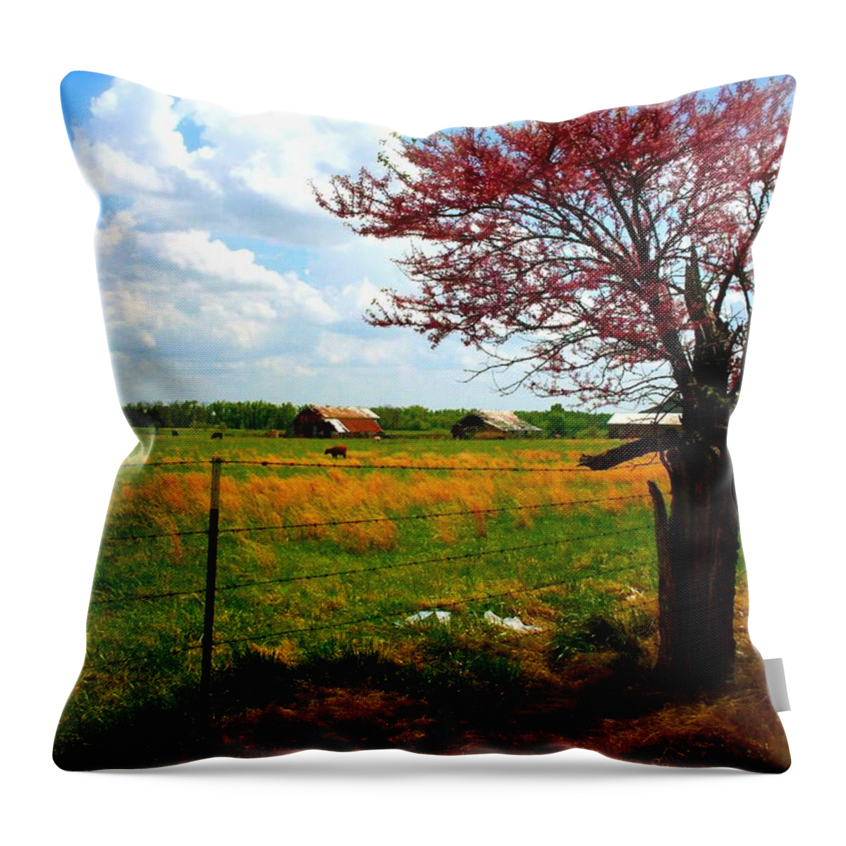 Oklahoma Throw Pillow featuring the photograph Gods Country  Commerce Miami Oklahoma by Iconic Images Art Gallery David Pucciarelli