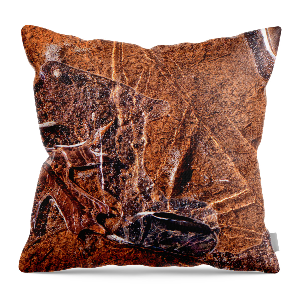 Triangle Throw Pillow featuring the photograph God's Drafting Table by Lucy VanSwearingen
