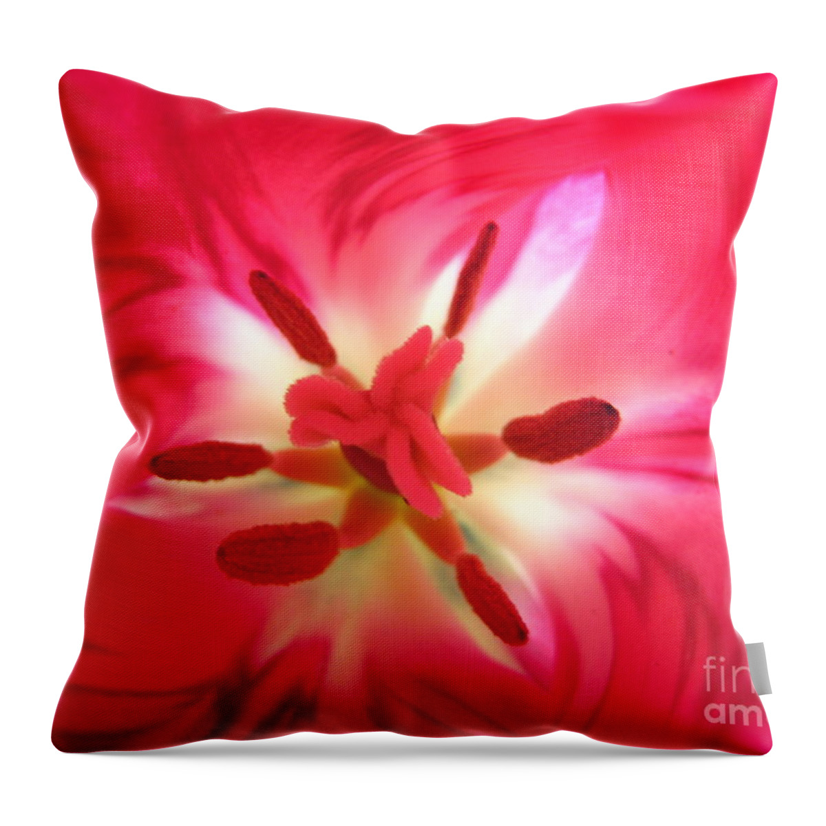 Pink Throw Pillow featuring the photograph God's Floral Canvas 1 by Jennifer E Doll