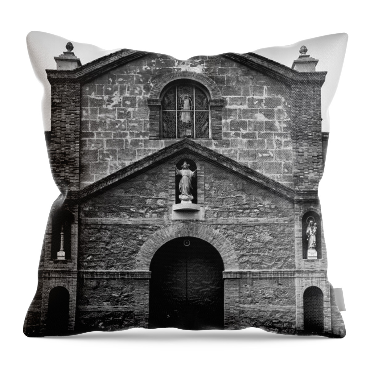 God Throw Pillow featuring the photograph God's Messenger by Nigel R Bell