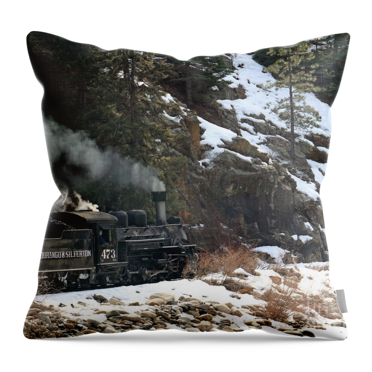  Forest Throw Pillow featuring the photograph Going Back in Time by Mary Haber