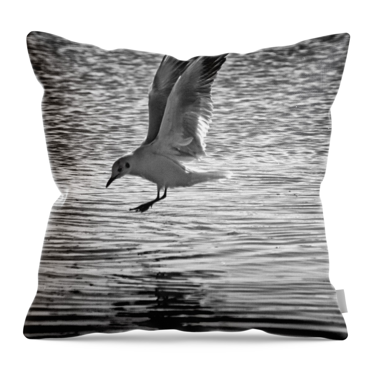 Air Throw Pillow featuring the photograph Going Fishing by Stelios Kleanthous