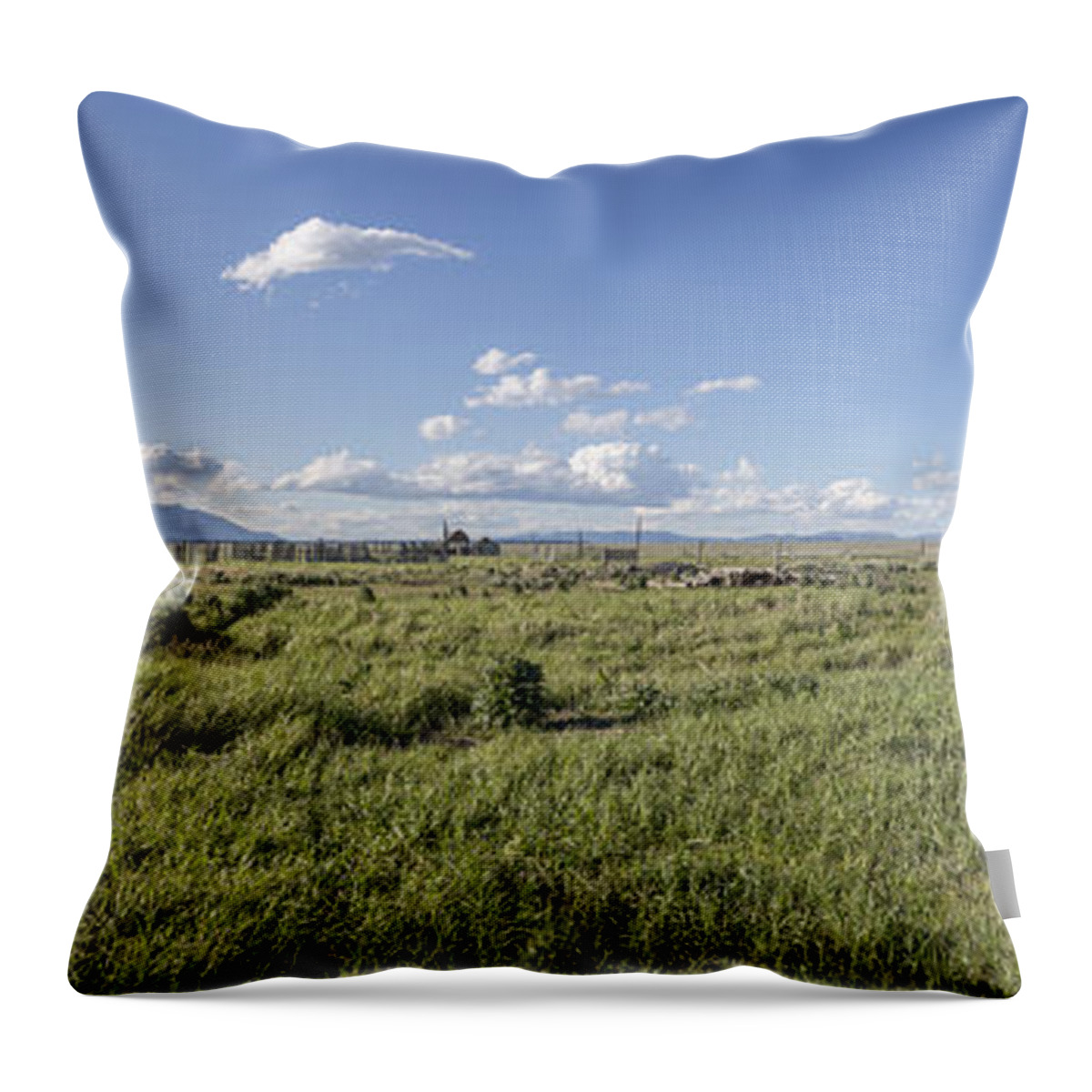 Art Throw Pillow featuring the photograph Going Home by Jon Glaser