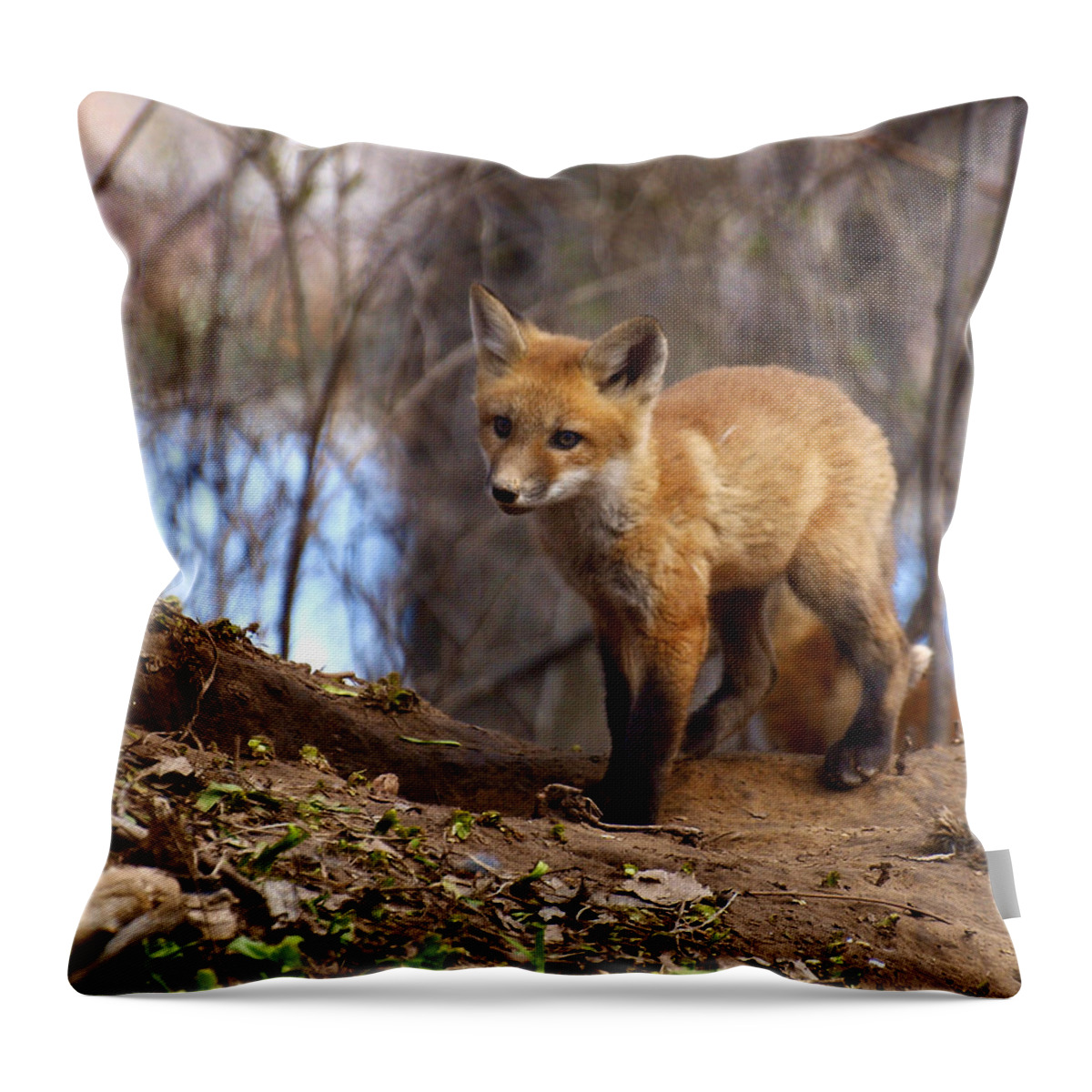 Fox Throw Pillow featuring the photograph Going To The Den by Thomas Young