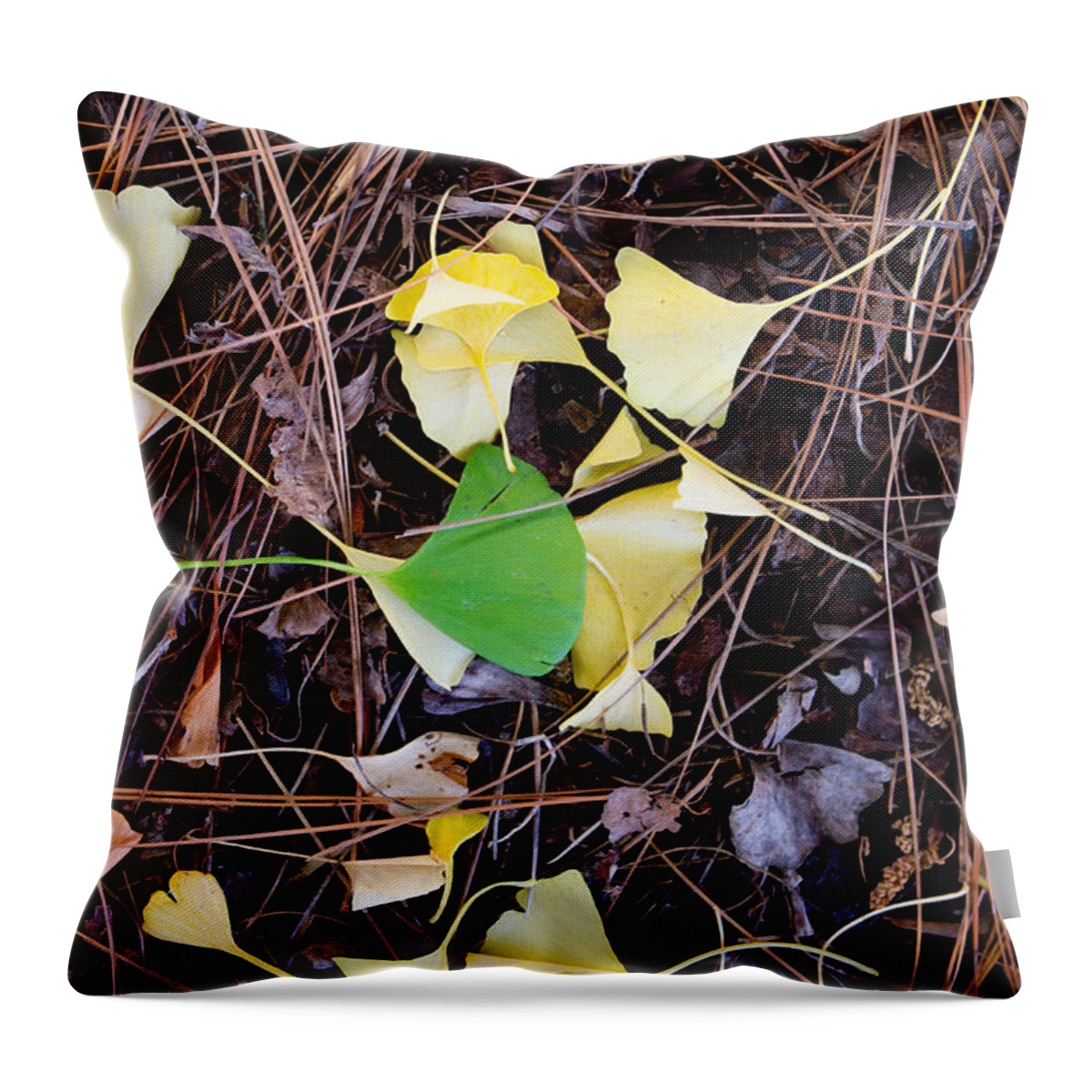 Gingko Throw Pillow featuring the photograph Gold and Green Gingko Leaves by Laura Iverson