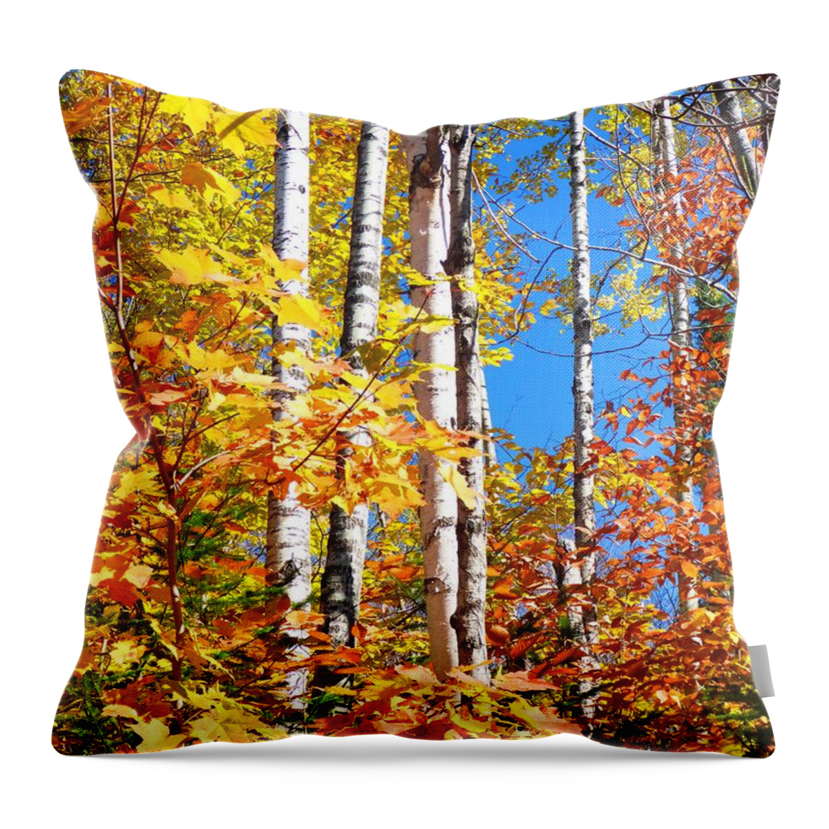 Autumn Throw Pillow featuring the photograph Gold Autumn by Cristina Stefan
