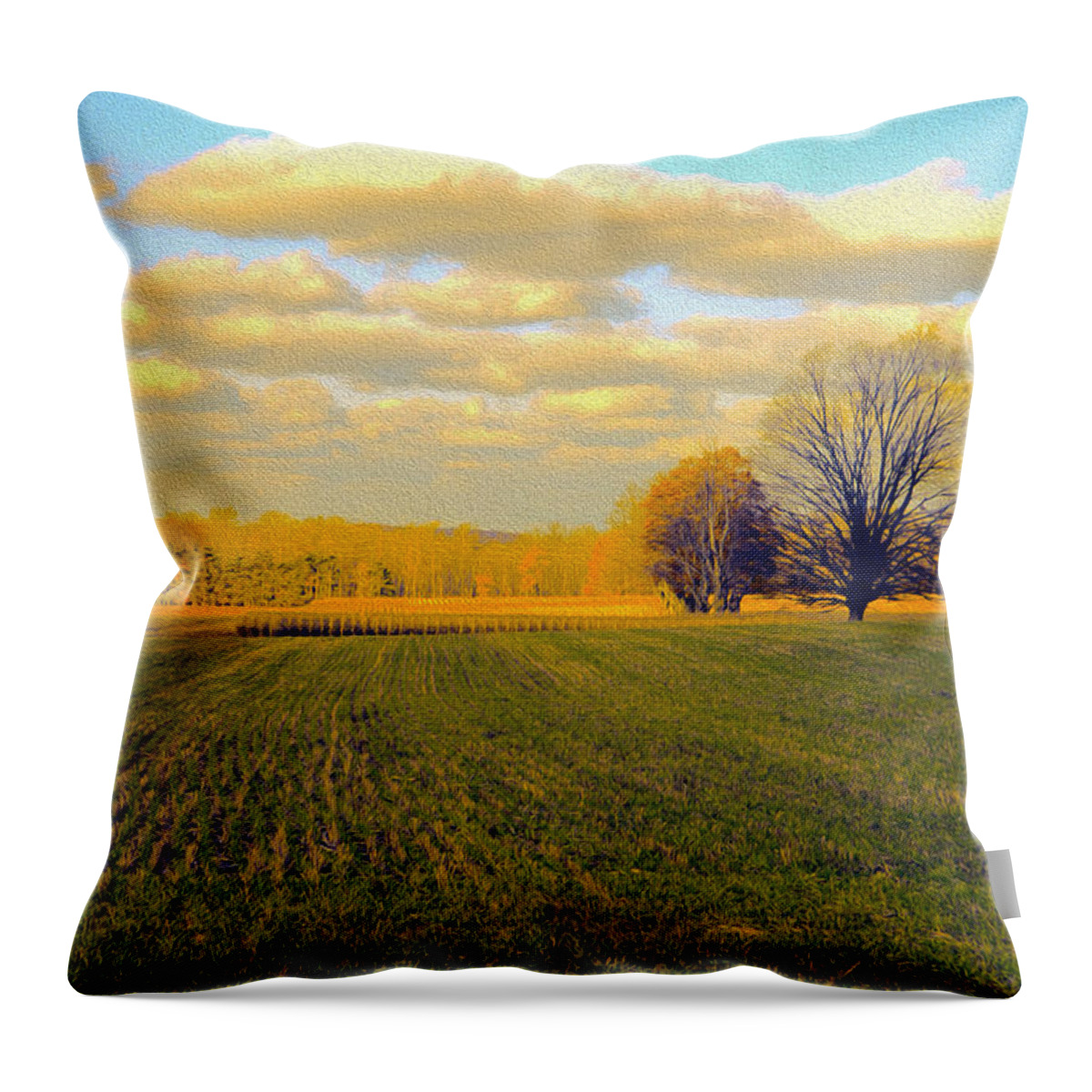 Farm Throw Pillow featuring the photograph Gold Field by Mary Underwood