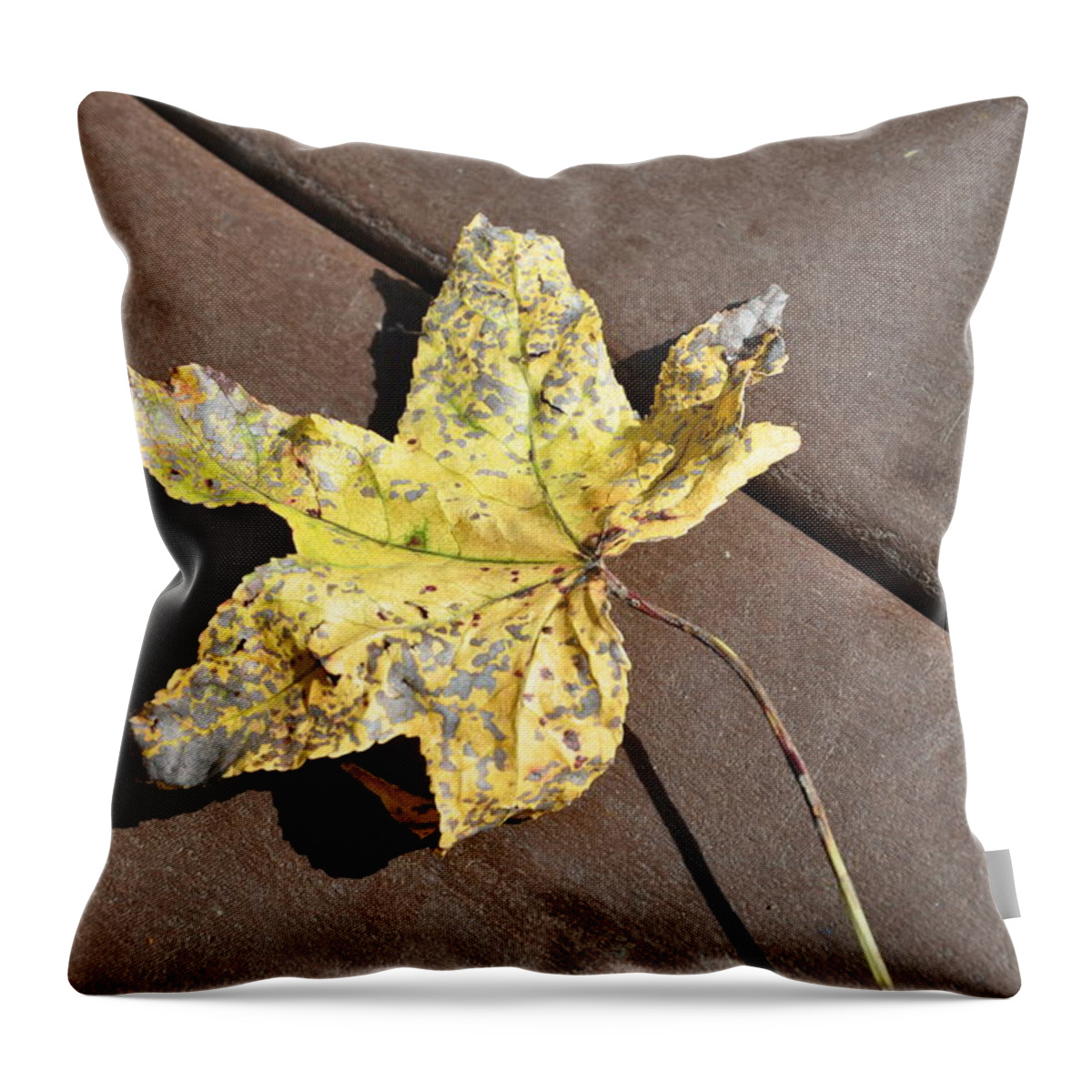 Gold Throw Pillow featuring the photograph Gold Leaf by Frank Madia