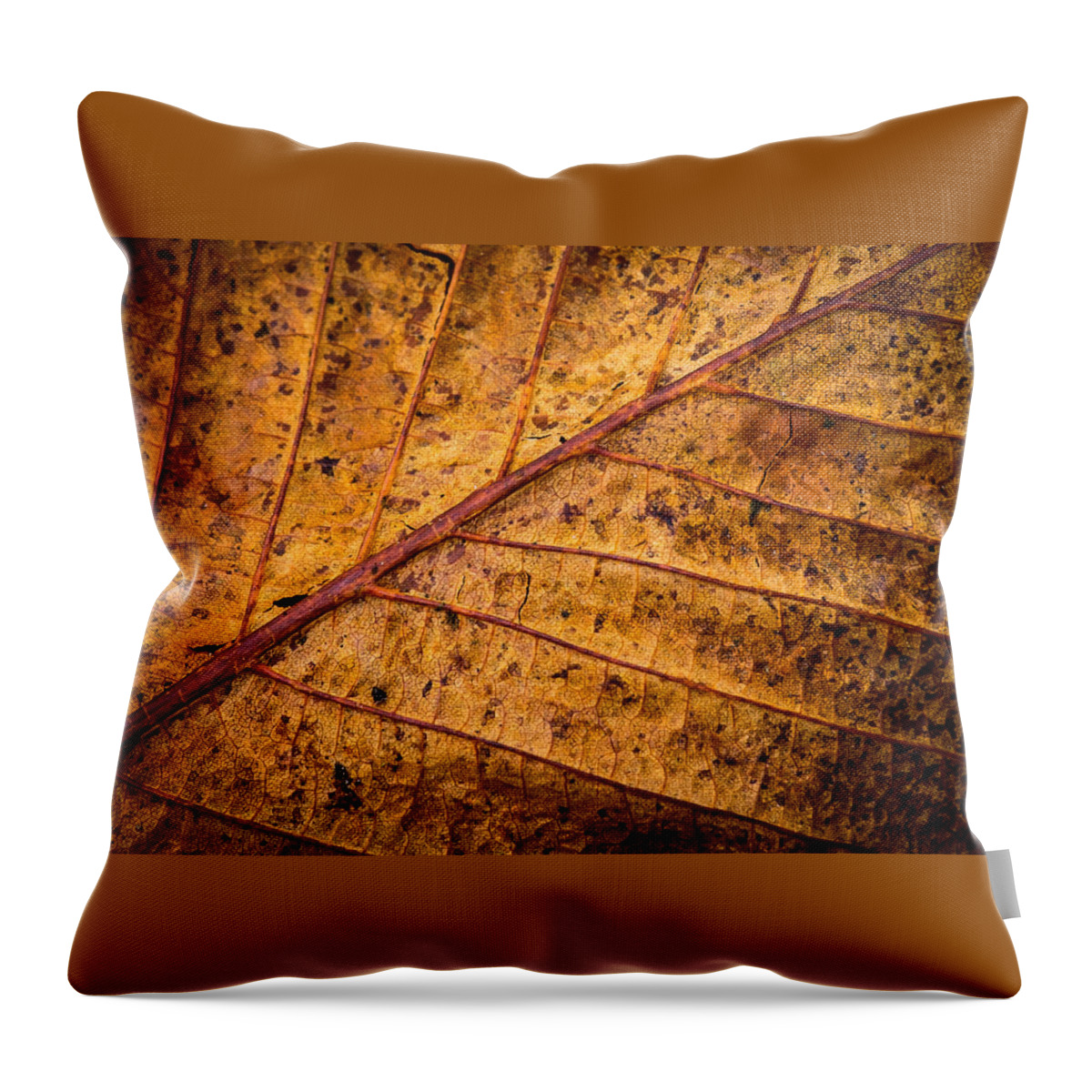 Leaf Throw Pillow featuring the photograph Gold Leaf by Nigel R Bell
