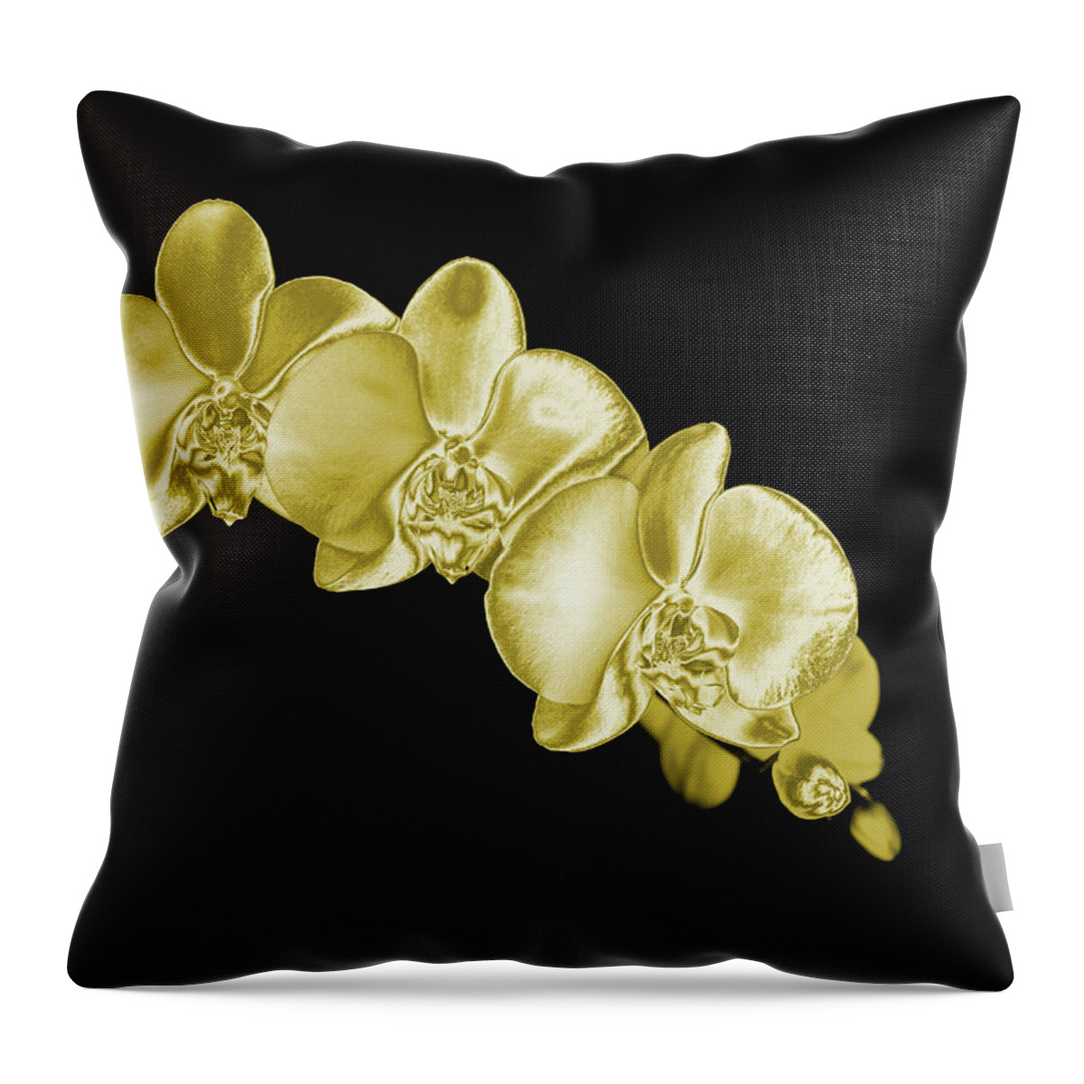 Black Background Throw Pillow featuring the photograph Gold Phaelenopsis Orchid On A Black by Mike Hill