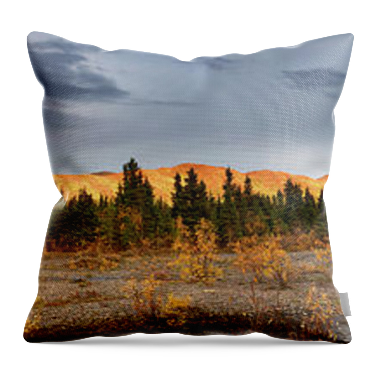 Scenics Throw Pillow featuring the photograph Gold Rush by Copyright Eab Photography