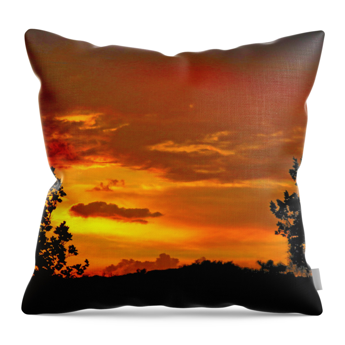 Sunrise Throw Pillow featuring the photograph Golden Dawn by Mark Blauhoefer